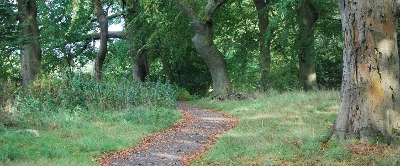 Walking Banner