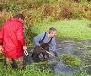 An image relating to Friends of Almondell & Calderwood Country Park