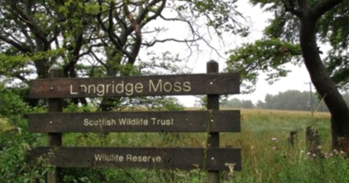 49. Longridge Moss, west of Stoneyburn in the Breich Valley West