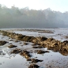 17 Hopetoun Shore near Hopetoun House by South Queensferry