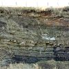28 Hilderston Silver Mine Quarry Bathgate Hills