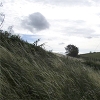44 Craigton Hill Quarry near Winchburgh