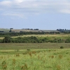 48 Tailend Moss by Bathgate