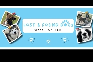 An image relating to Lost and Found Dogs West Lothian