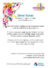 Silver Tones Silver Tones description