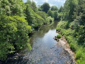 River Almond