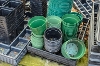 Plant pots and trays
