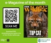e-Magazine of the month