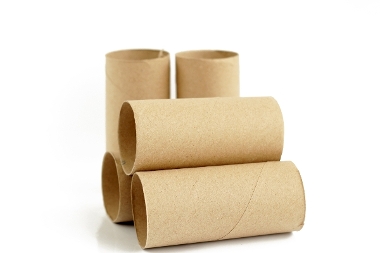 Toilet Roll Tubes