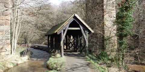 An image relating to Park Activities