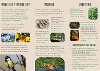 Tenants Leaflet - Image 2