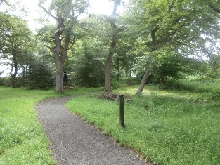 Hillhouse Woodland