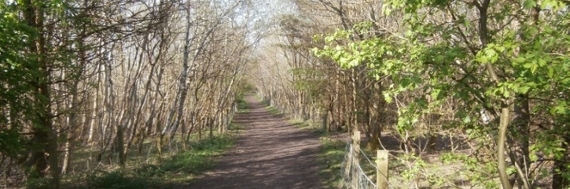 An image relating to Walks in West Lothian