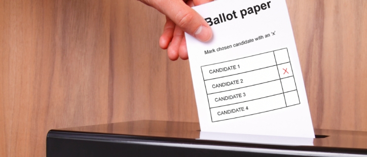 Information on Voting banner: Link to 'Information on Voting' Information on Voting banner